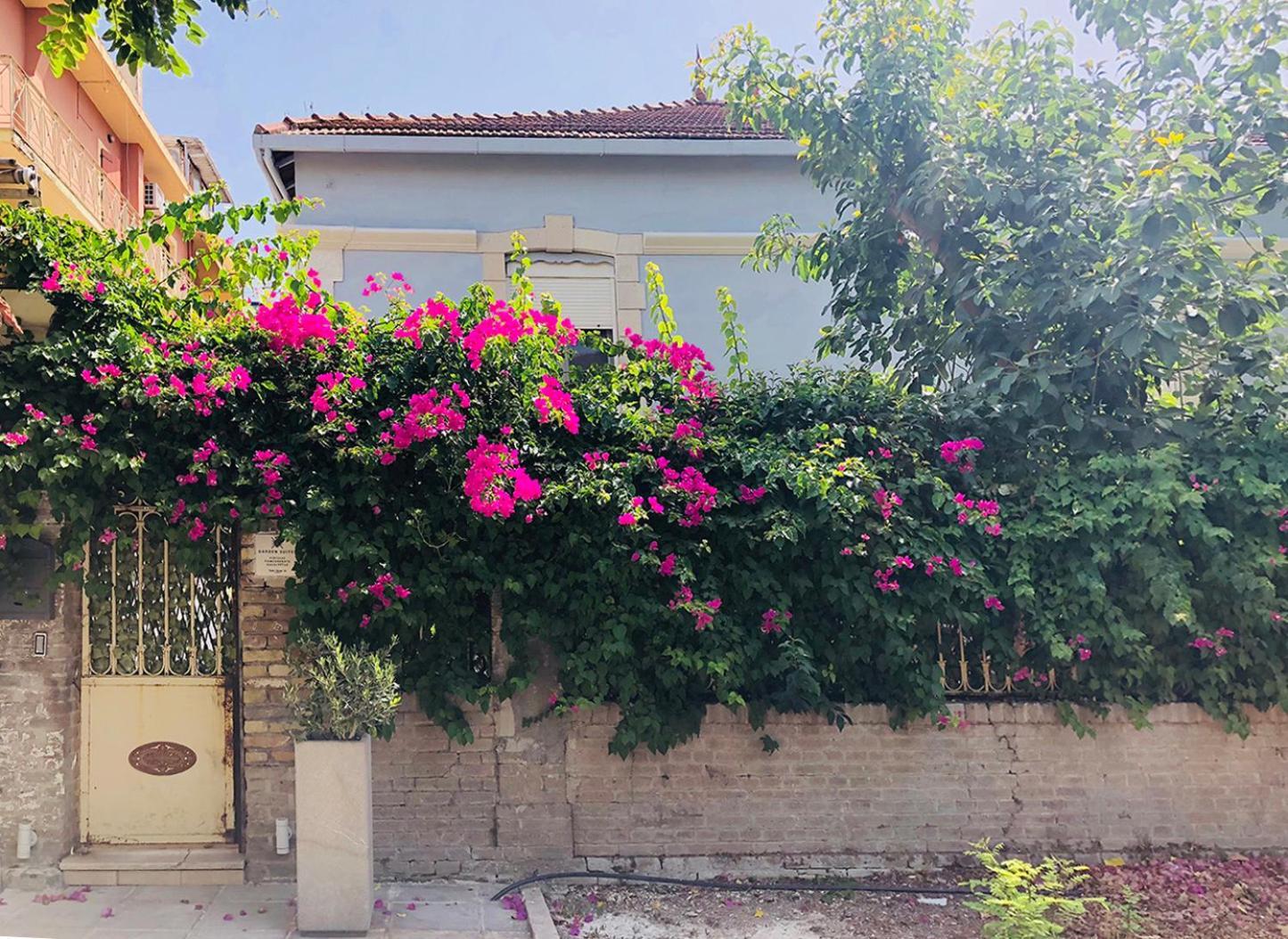 Corfu  Garden Suites מראה חיצוני תמונה